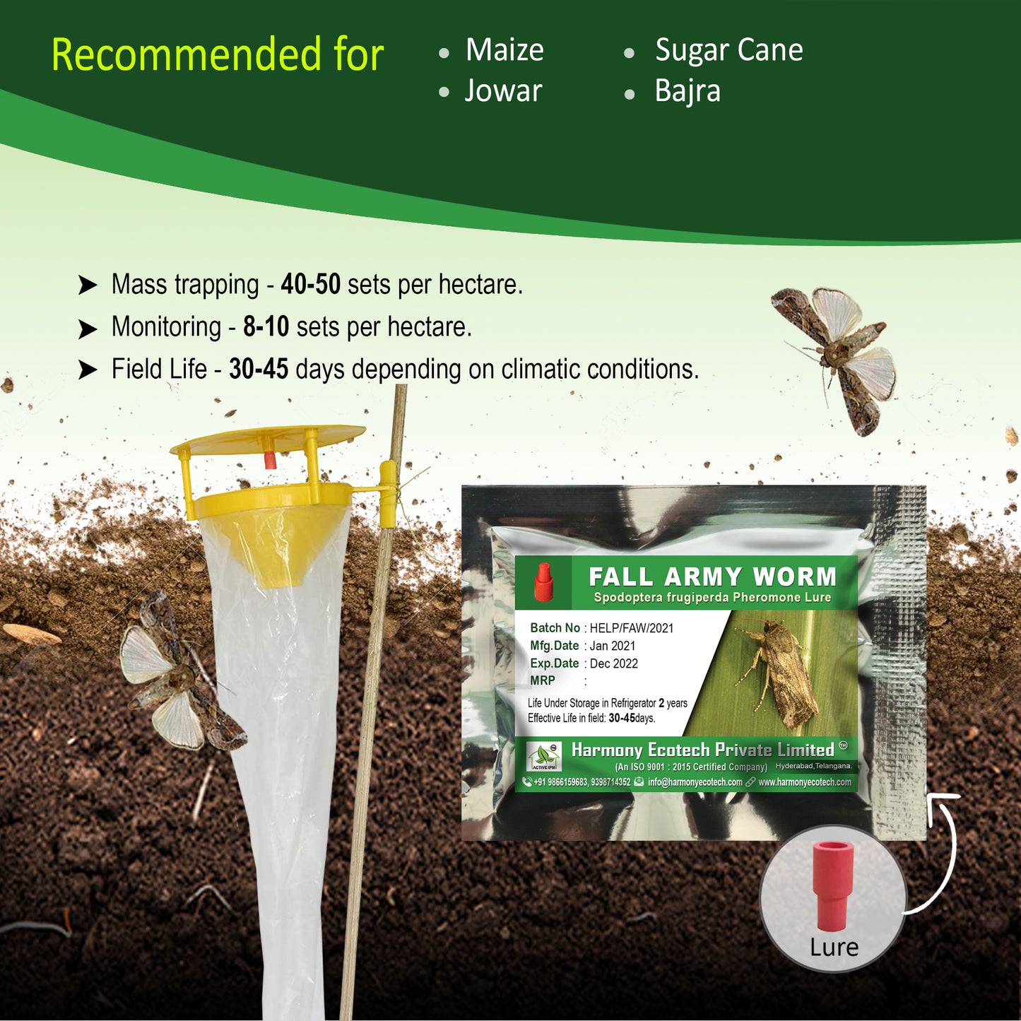 Spodoptera frugiperda Pheromone Lure + Funnel Trap