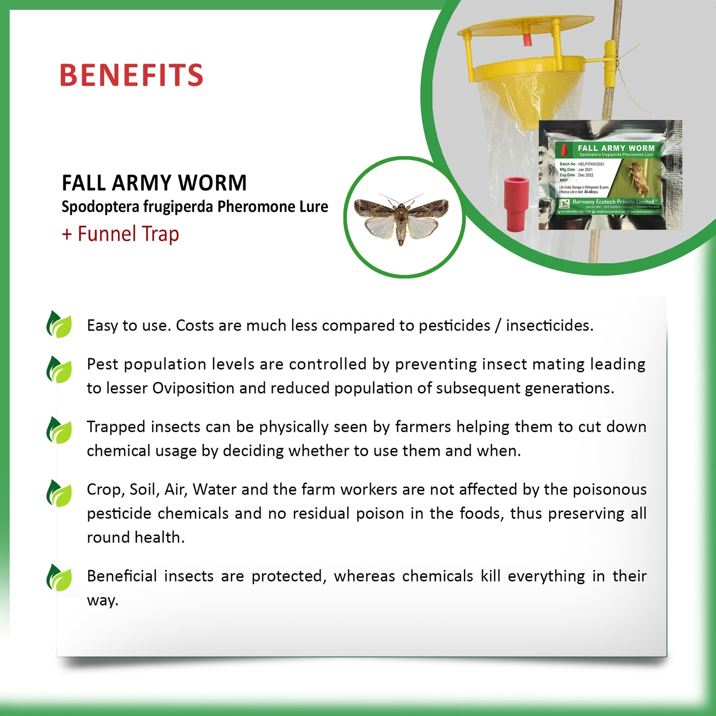 Spodoptera frugiperda Pheromone Lure + Funnel Trap