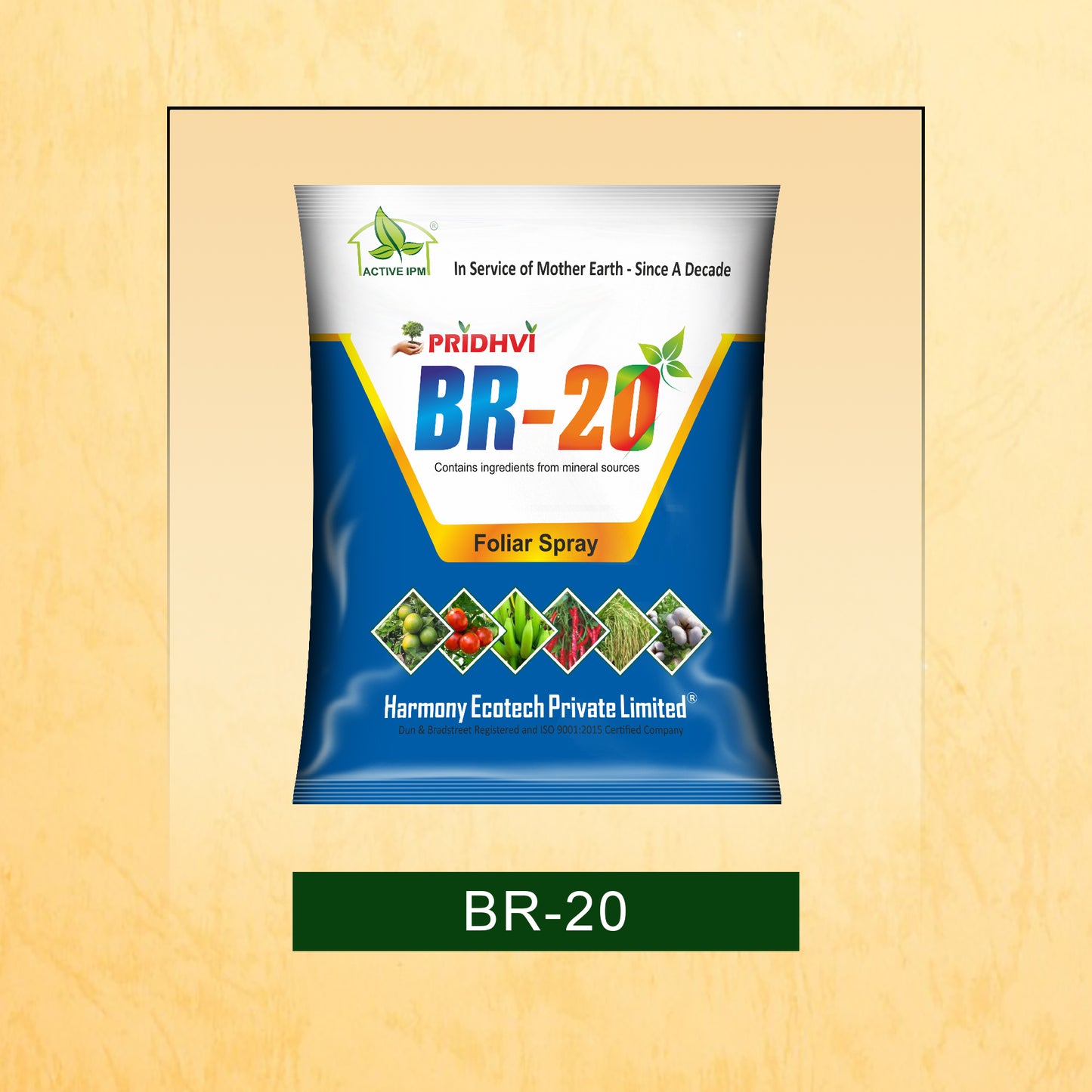 BR-20