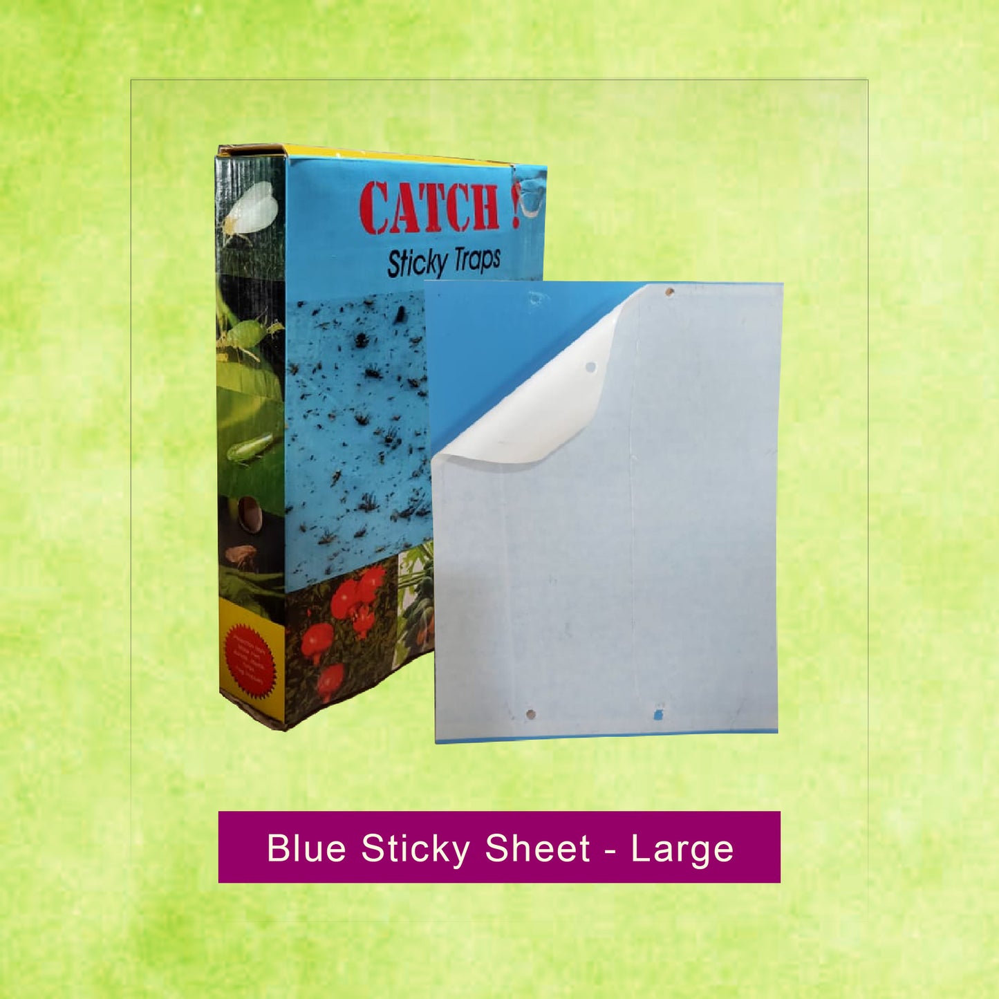 Blue Sticky Trap - Large