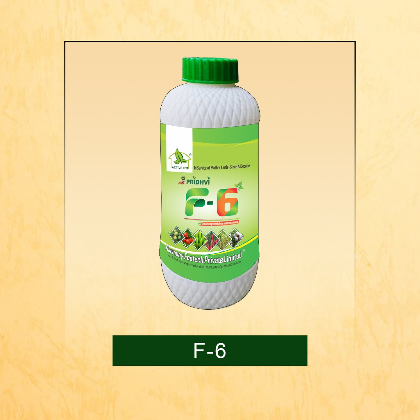 F-6