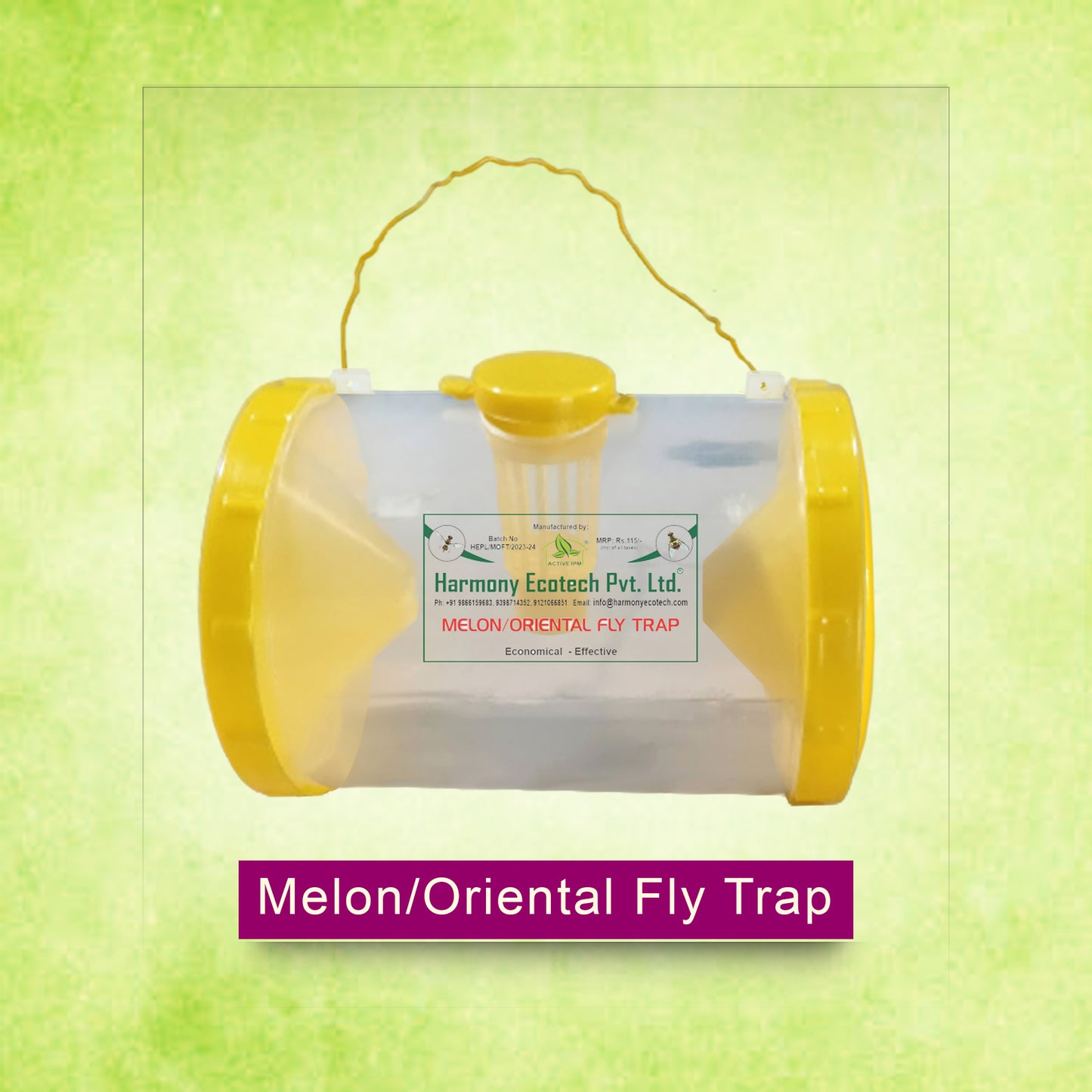Fruit Fly Trap