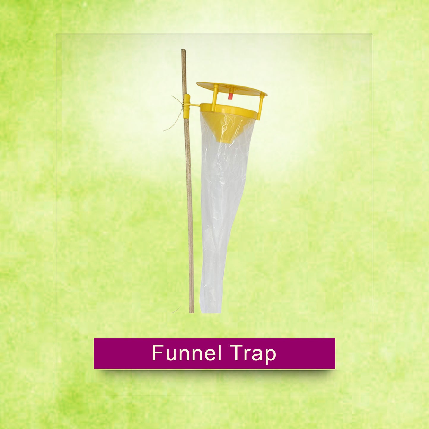 Funnel Trap