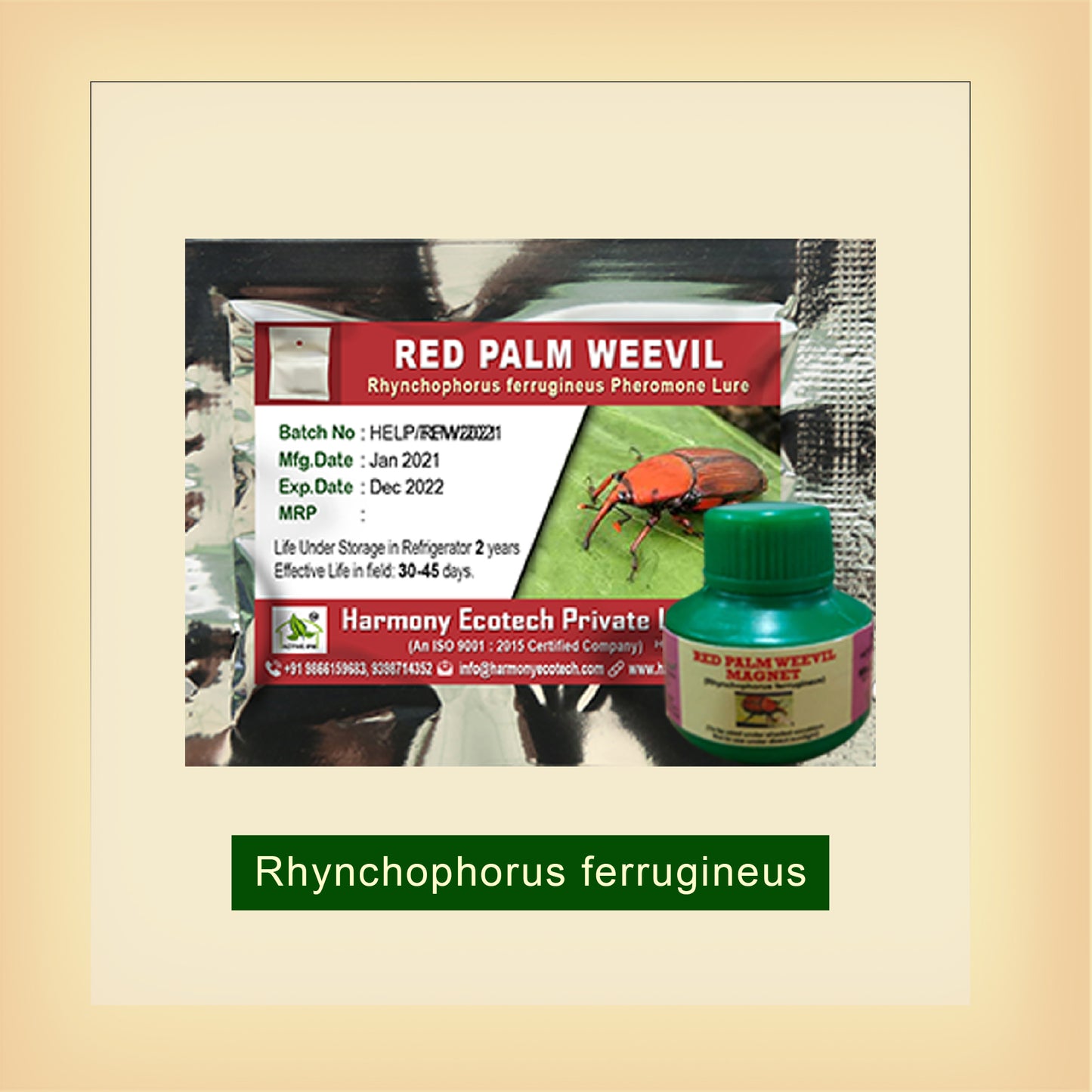 Red Palm Weevil Pheromone Lure + Magnet