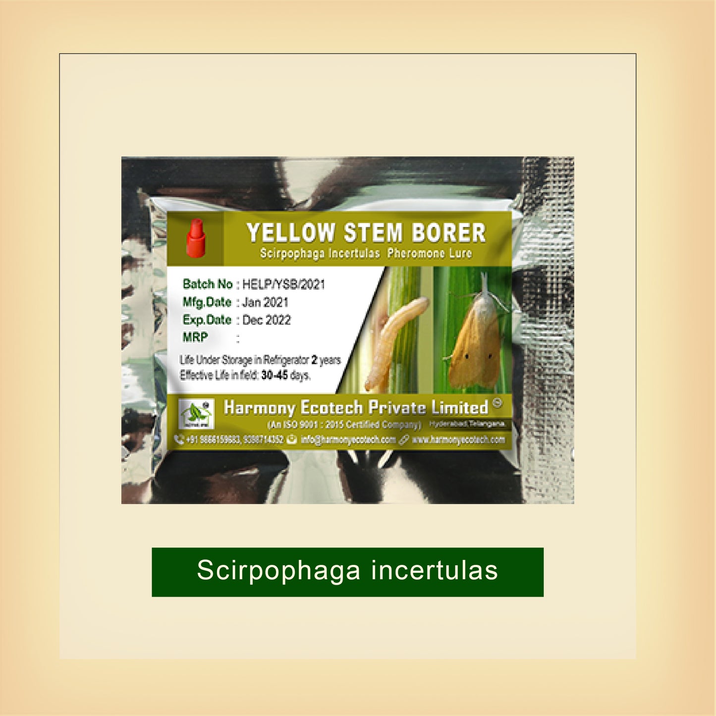 Yellow Stem Borer Pheromone Lure