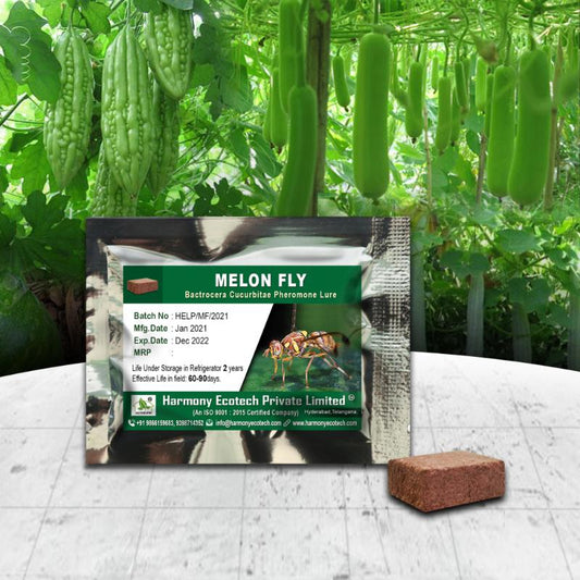 Melon Fly Pheromone Lure