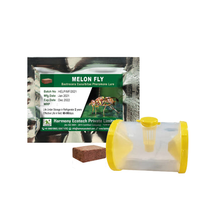 Bactrocera cucurbitae Pheromone Lure + Fruit Fly Trap