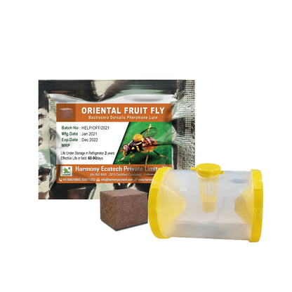 Bactrocera dorsalis Pheromone Lure + Fruit Fly Trap