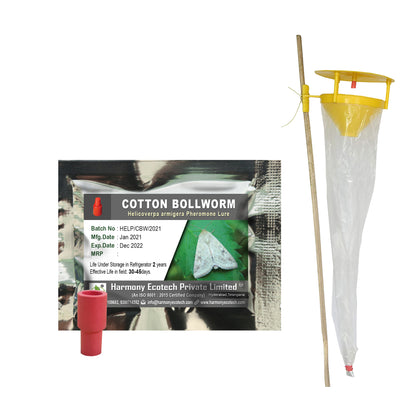Helicoverpa armigera Pheromone Lure + Funnel Trap
