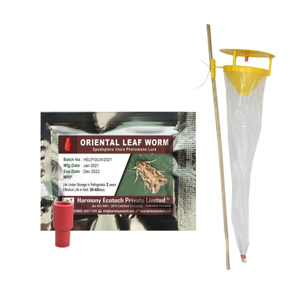 Spodoptera litura Pheromone Lure + Funnel Trap