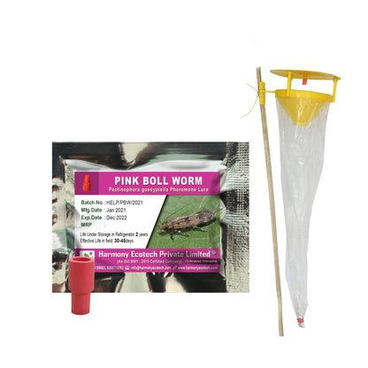 Pectinophora gossypiella Pheromone Lure + Funnel Trap