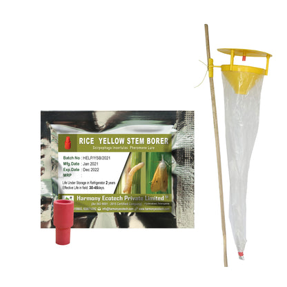 Scipophaga incertulas Pheromone Lure + Funnel Trap