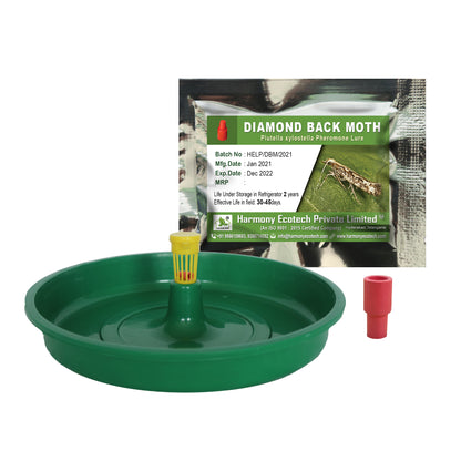 Plutella xylostella Pheromone Lure + Water Trap