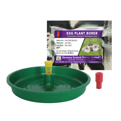 Leucinodes orbonalis Pheromone Lure + Water Trap