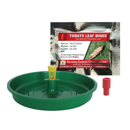 Tuta absoluta Pheromone Lure + Water Trap