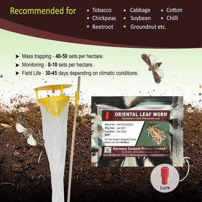 Spodoptera litura Pheromone Lure + Funnel Trap