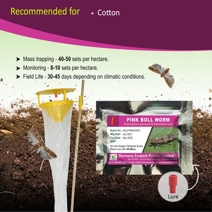 Pectinophora gossypiella Pheromone Lure + Funnel Trap