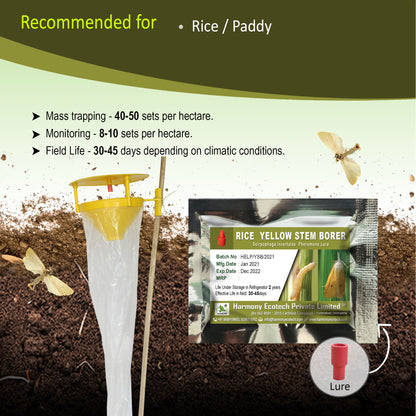 Scipophaga incertulas Pheromone Lure + Funnel Trap