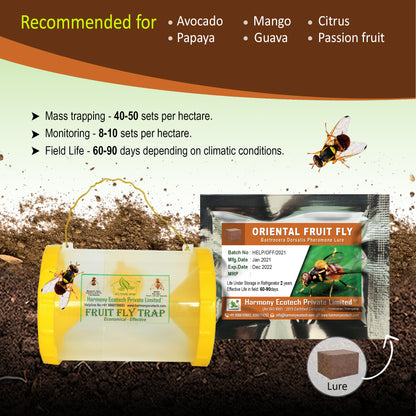Bactrocera dorsalis Pheromone Lure + Fruit Fly Trap