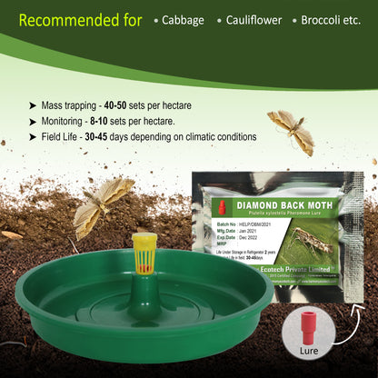 Plutella xylostella Pheromone Lure + Water Trap