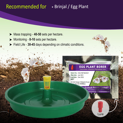 Leucinodes orbonalis Pheromone Lure + Water Trap