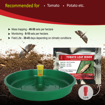 Tuta absoluta Pheromone Lure + Water Trap