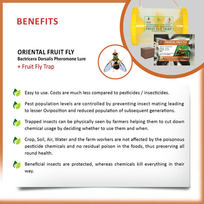 Bactrocera dorsalis Pheromone Lure + Fruit Fly Trap