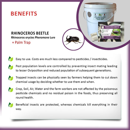 Oryctes rhinoceros Pheromone Lure + Palm Trap