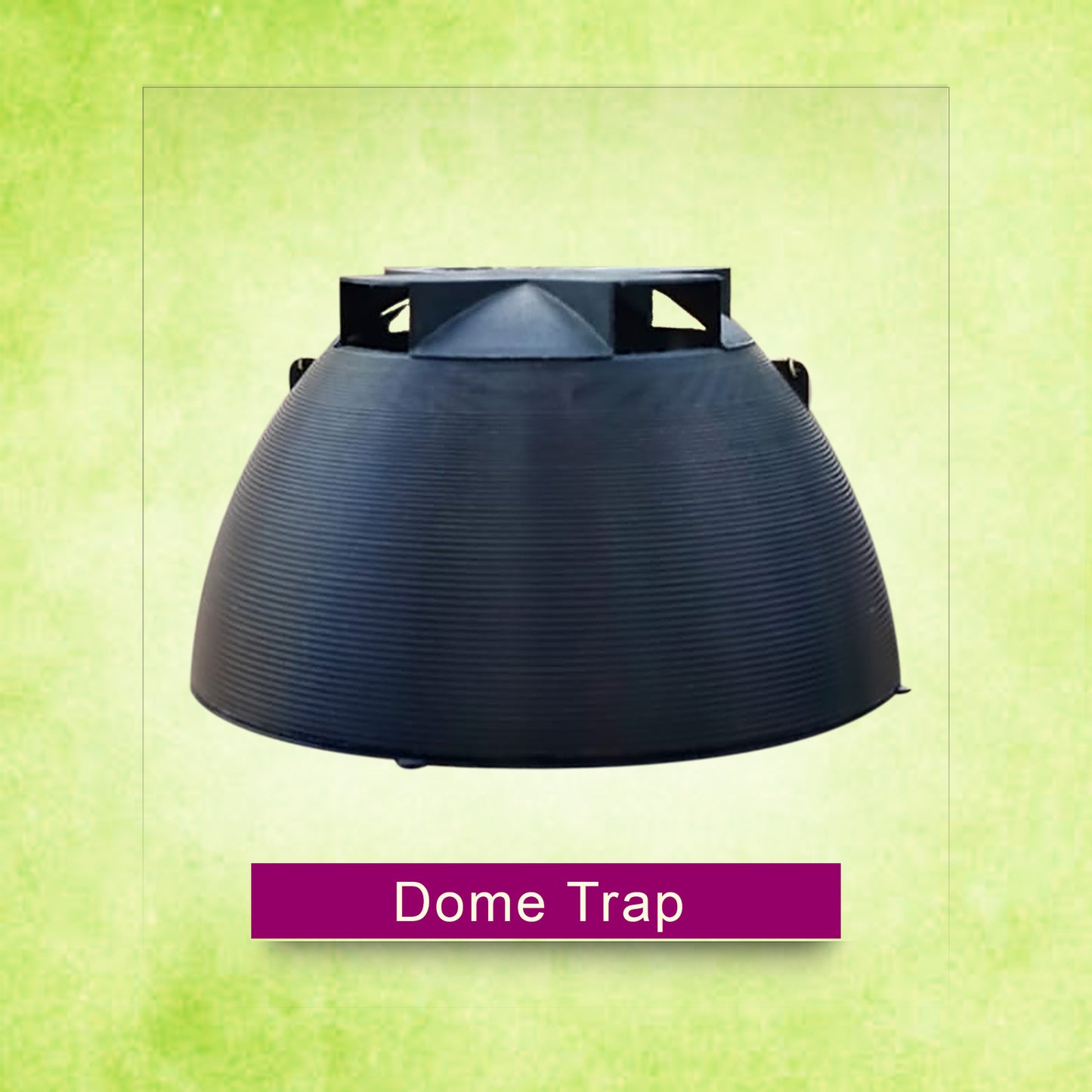 Dome Trap