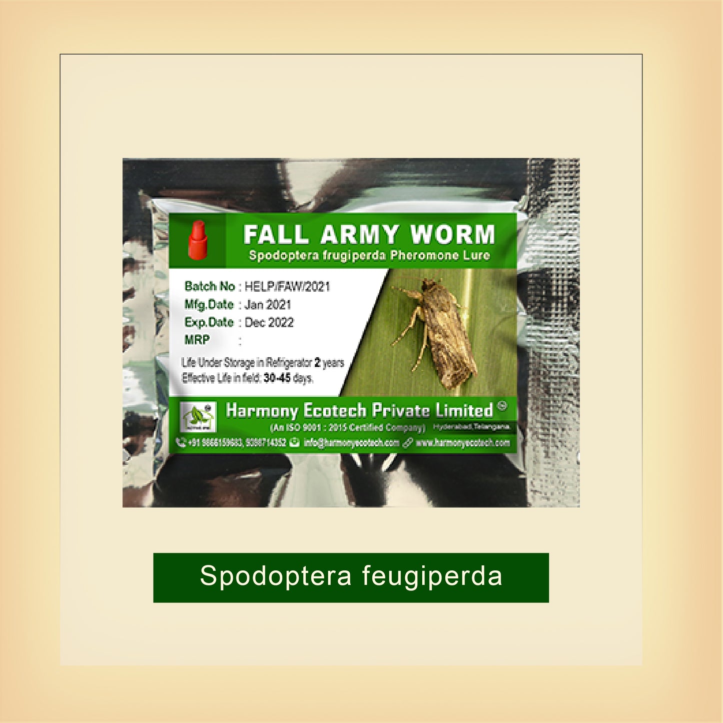 Fall Army Worm