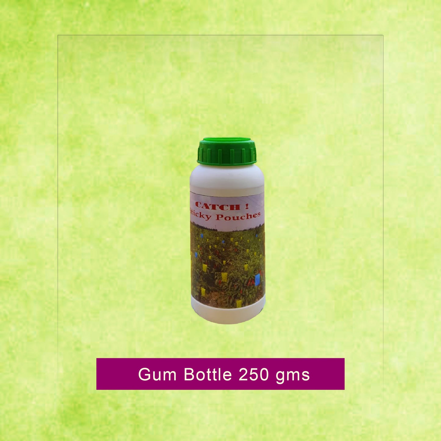 Glue Bottle 250 gms