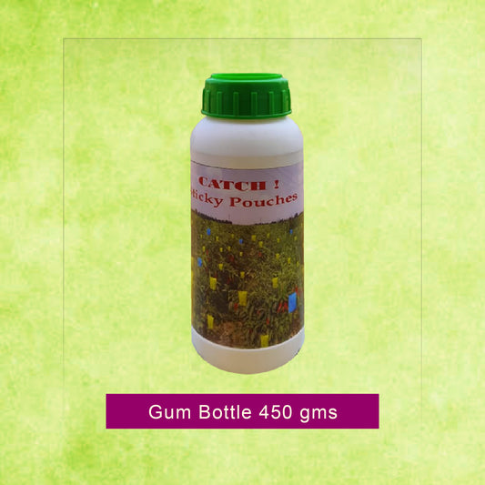 Glue Bottle 450 gms