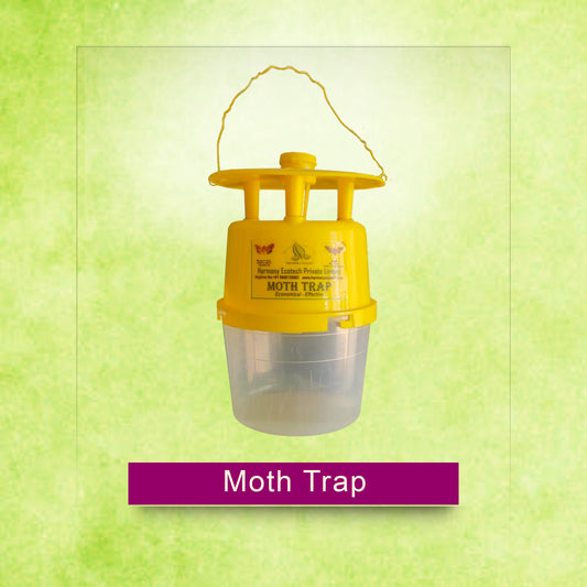 Moth Trap
