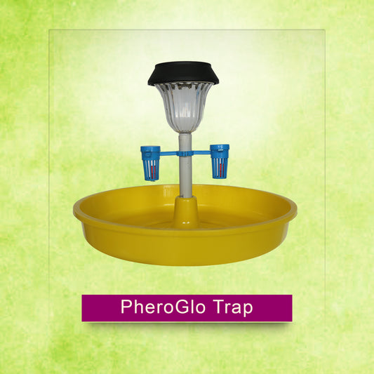 PheroGlo Trap