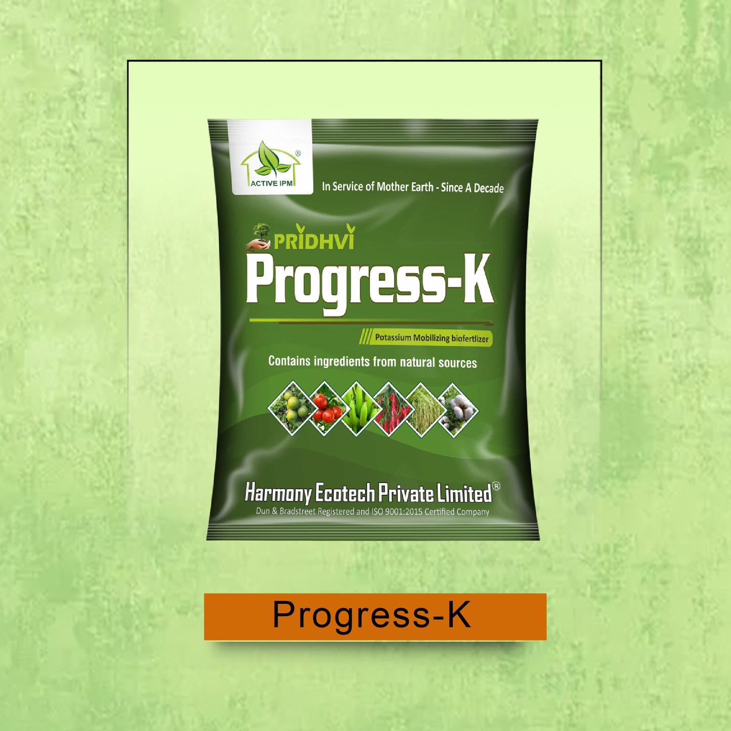 Progress-K