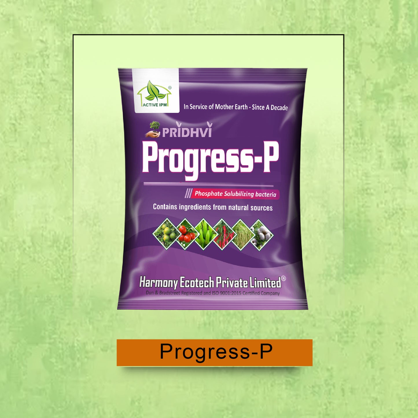 Progress-P