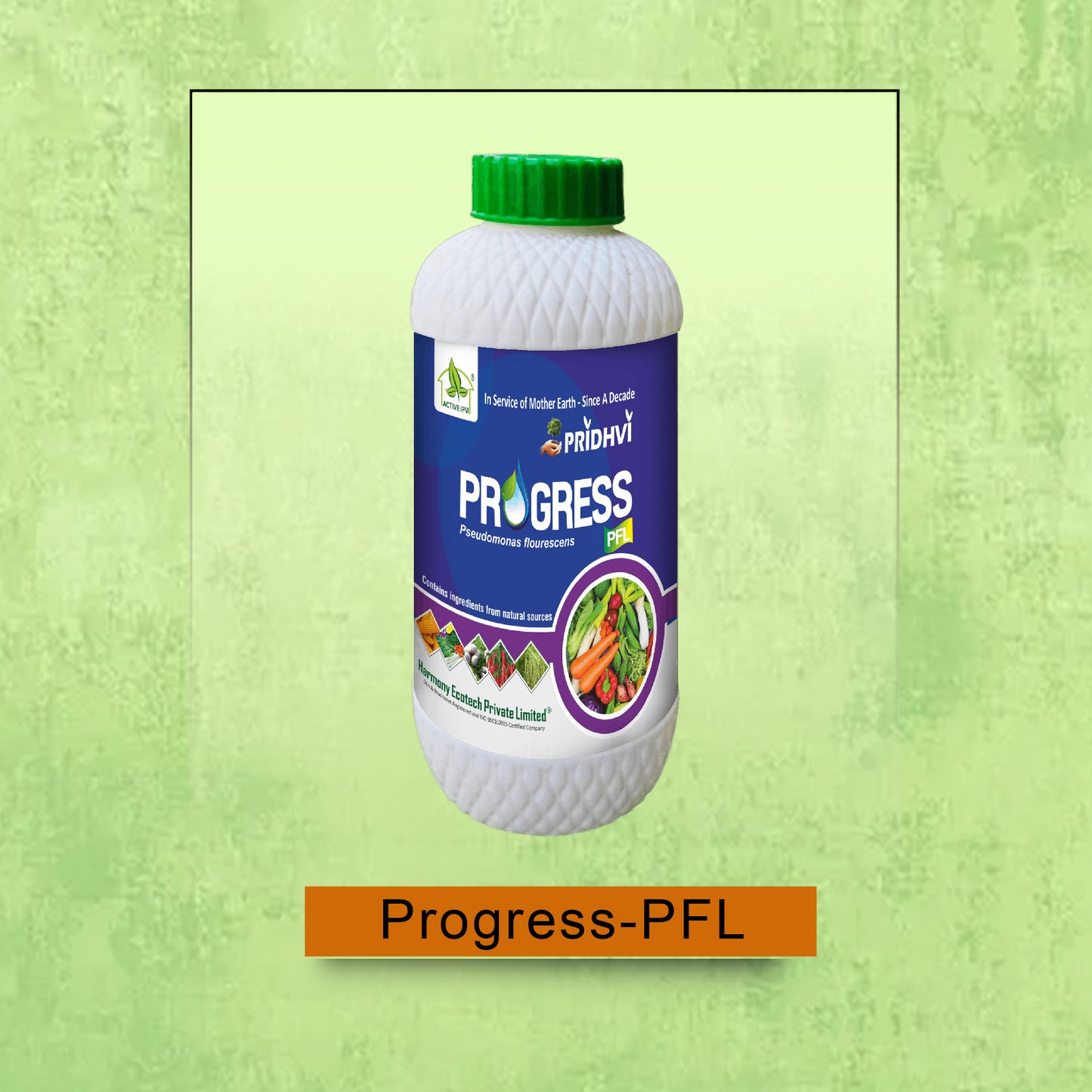Progress-PFL