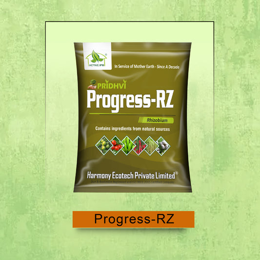 Progress-RZ