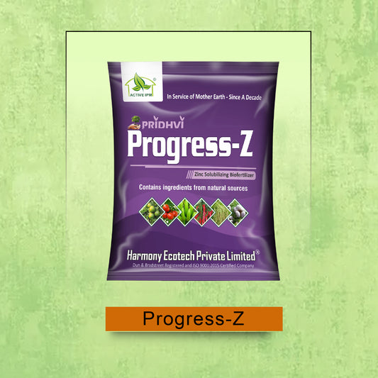 Progress-Z
