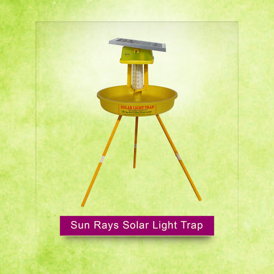 Sun Rays Solar Light Trap