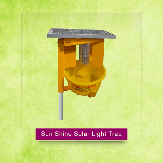 Sun Shine Solar Light Trap