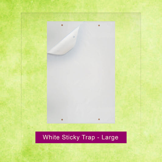 White Sticky Trap - Large