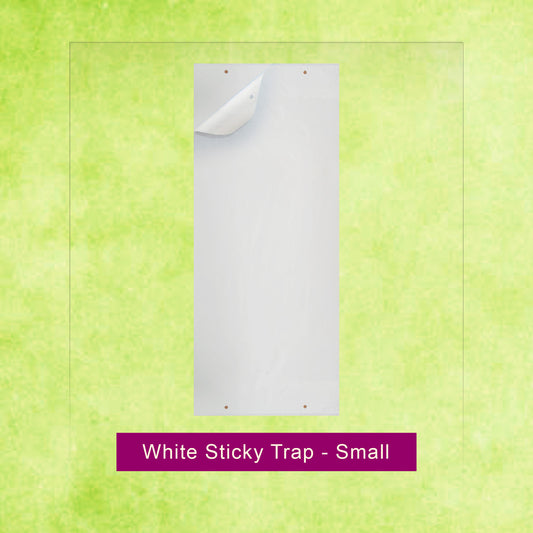 White Sticky Trap - Small