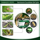 Melon Fly Pheromone Lure