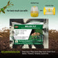 Melon Fly Pheromone Lure
